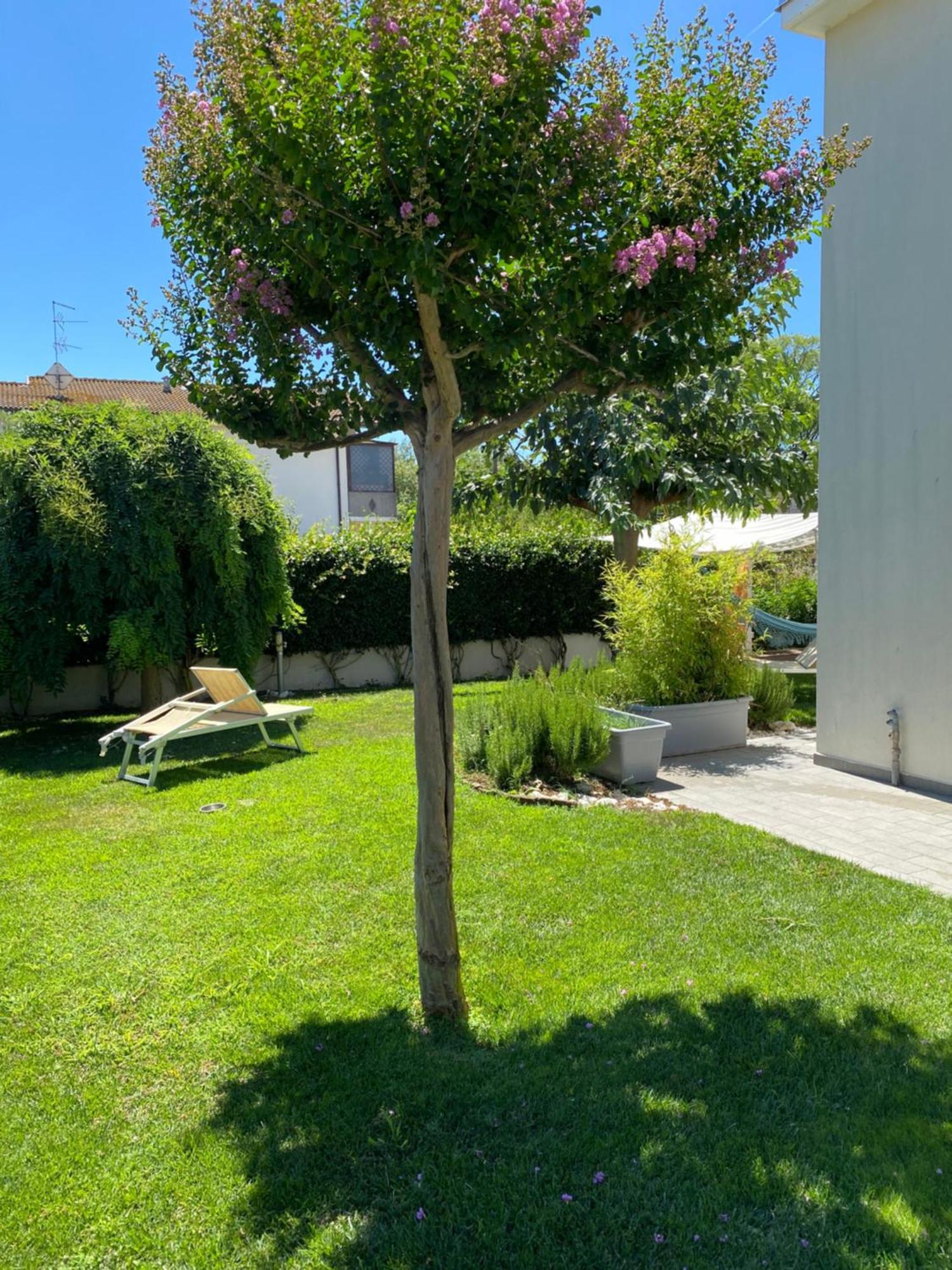 B&B Il Giardino Dello Yogi Savio di Ravenna Ngoại thất bức ảnh
